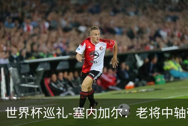 世界杯巡礼-塞内加尔：老将中轴带来安全感，非洲顶流前景可期！